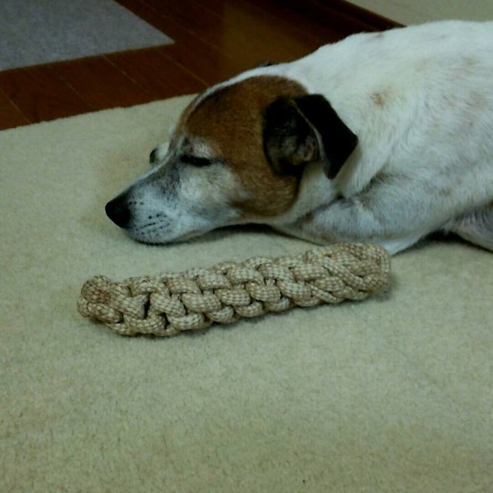 3e3bc229 707e 4387 a19f 1ef684200265