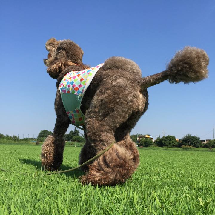 3e3bc336 2a31 4e3b bd6b 7fed7ba6af37