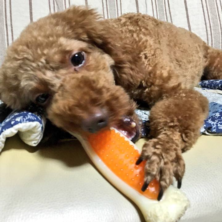 3e3be20a 64aa 4d25 8962 906fe5edc489