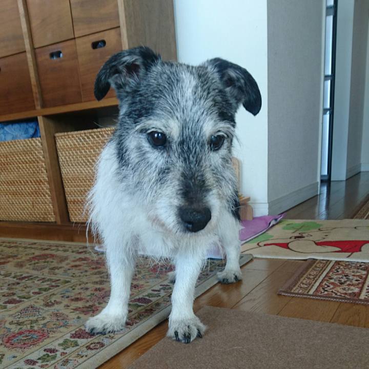 3e3c359d 9f3e 438d 808f ebece3965a15