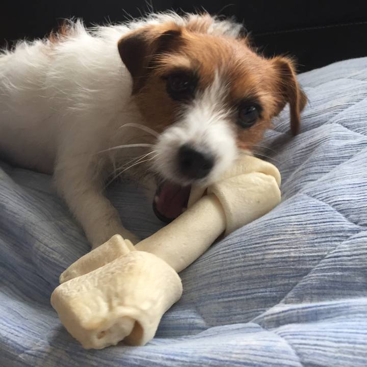 3e3c95f0 602f 489b a1af 9a9eabf58cef