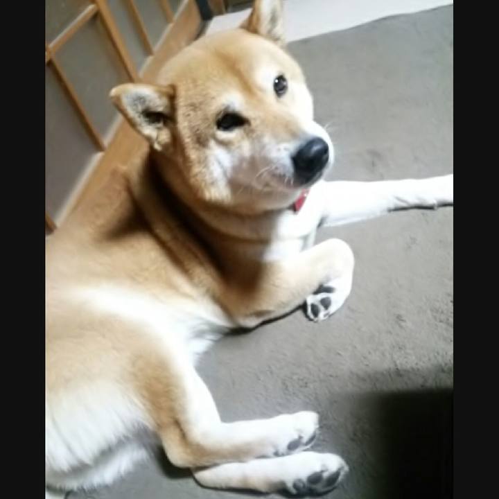 3e3cf1ee d407 4e90 909f 35204e25b035