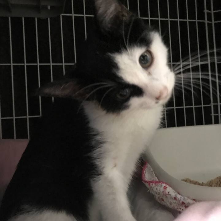 3e3d154b 38f3 4b13 a88a 29d1ad325ffb