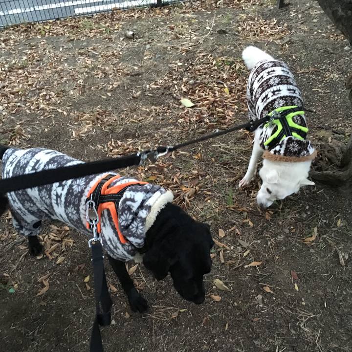 3e3e7225 6076 4c69 a8d2 1b74a838301b