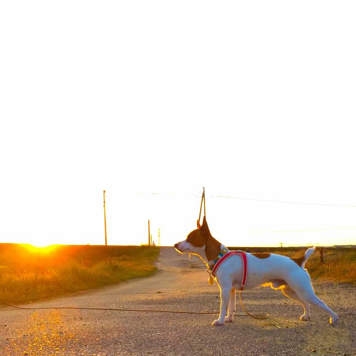 3e3e87c0 60dc 4c81 8428 58a1d513f7a9