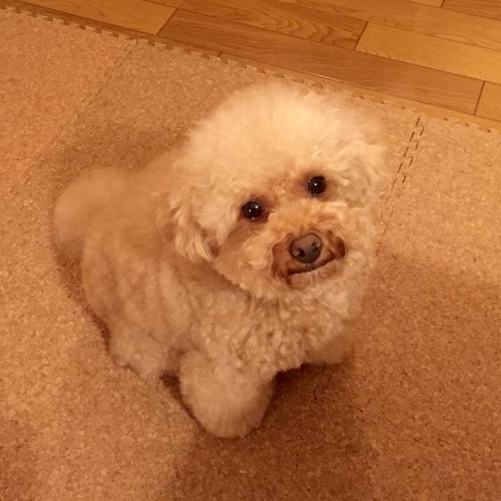 3e3eb424 87d5 4870 885c 82e1a64364d7