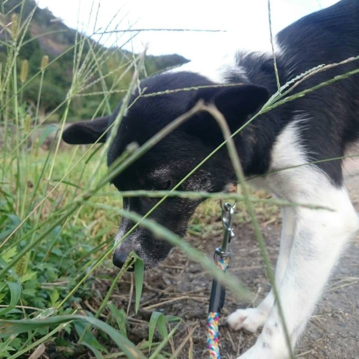 3e401905 2a7b 404c 85da 85b6a1e5c7c6