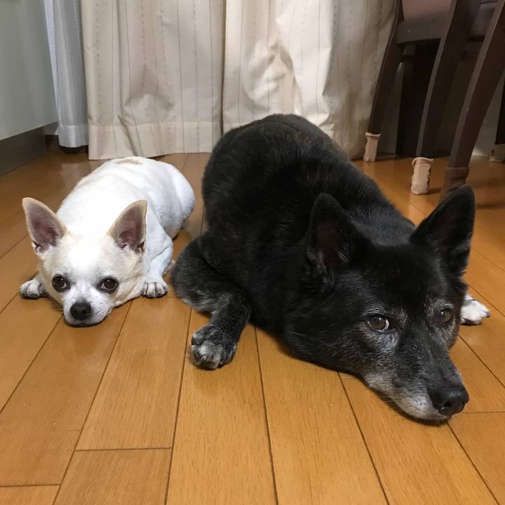 3e40446f a790 4763 9598 f85cd7972e48