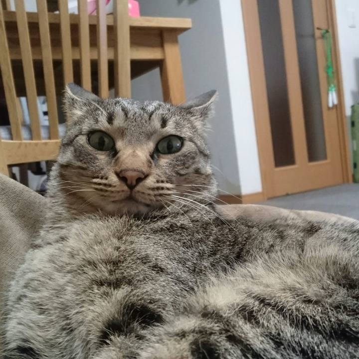 3e40fc53 ff66 469f a116 1d84d7c65298