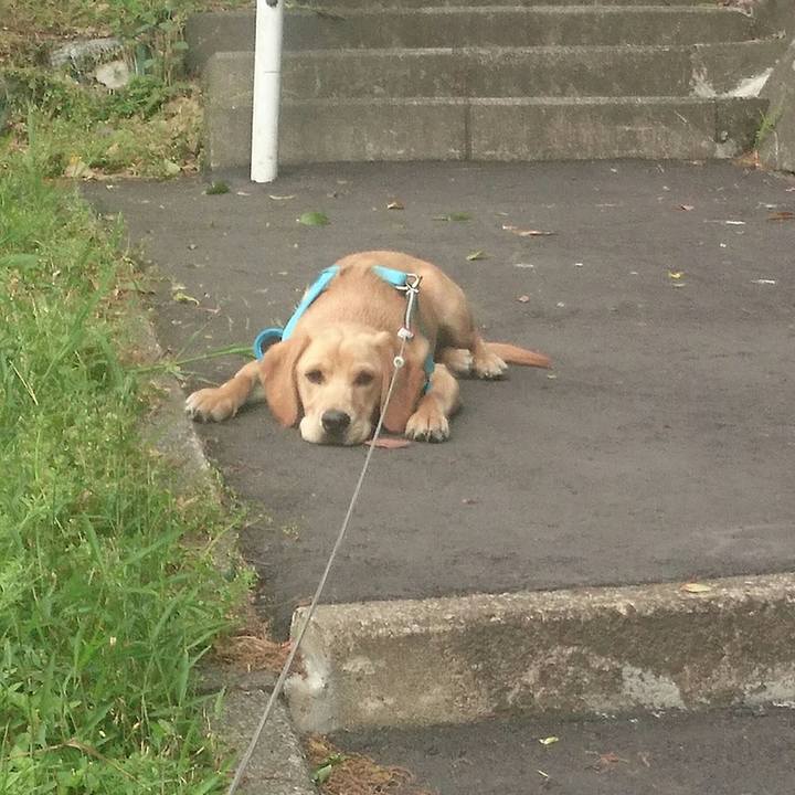 3e41f157 c2a9 4680 953f 07854d3a7906