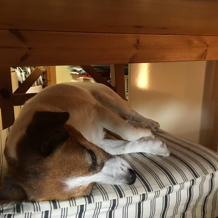 3e41fec1 f721 4802 aa86 4309b2db8d65