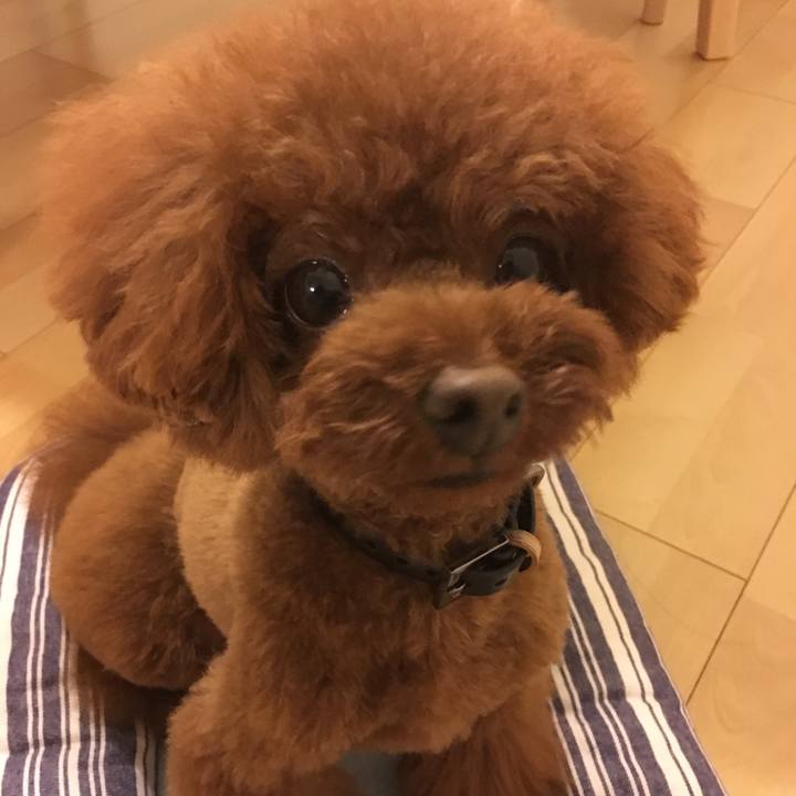 3e42411f 8089 48a0 81a8 ed08daa88411