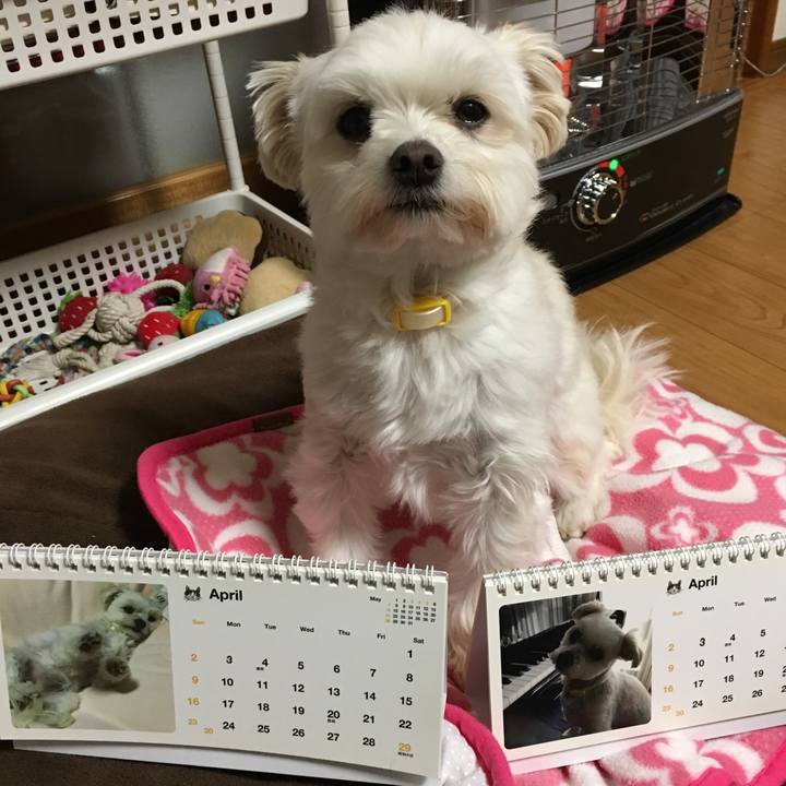 3e425569 f631 46d5 9378 8d7bca5aa17a