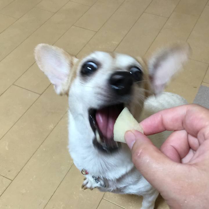 3e42b63a 2cd4 46a7 a607 36b90246e70e