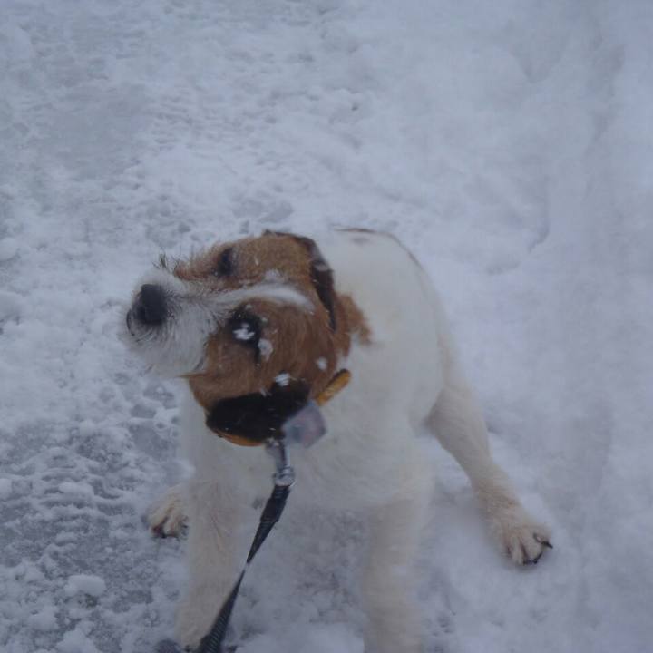 3e42b961 b212 4fe1 aadd f04e4f4e6790