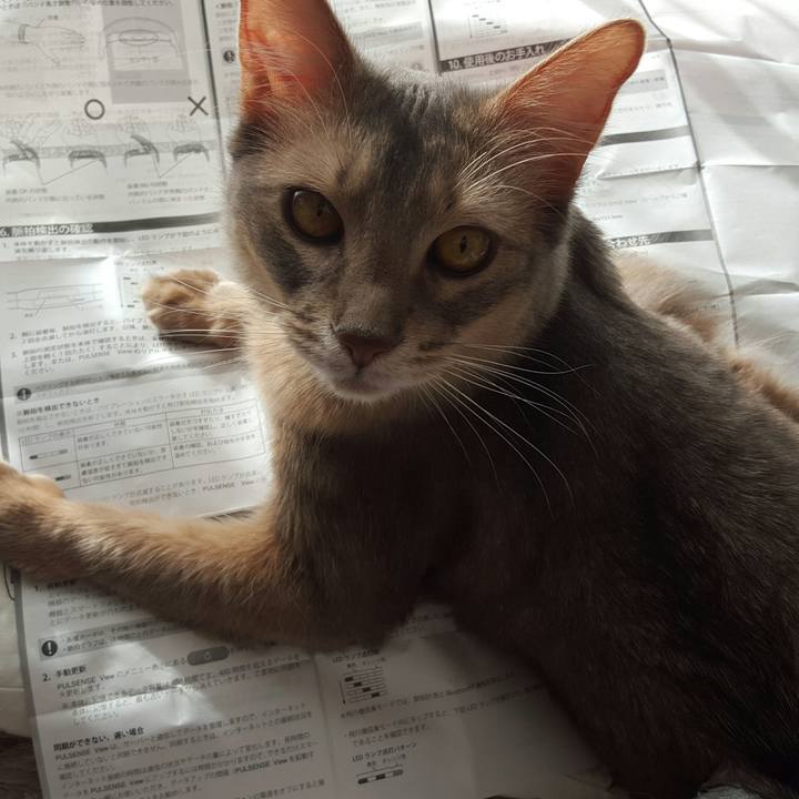 3e42cfda d255 4021 8e4f c070c9952c42