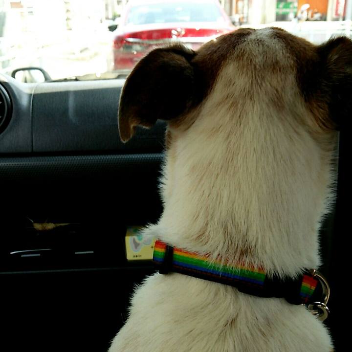 3e433182 0c8a 43e8 af44 23152b2c34a9