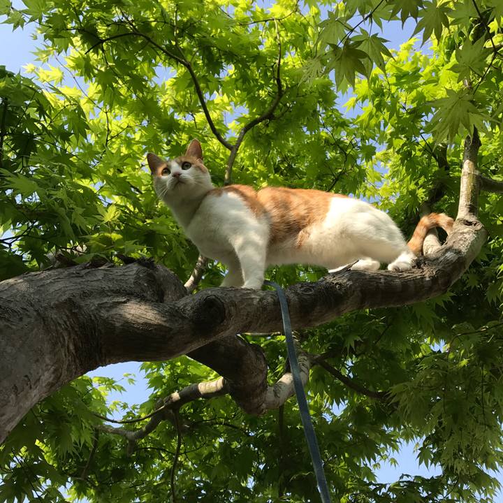 3e445b44 8086 420d 8895 34c3db8267b7