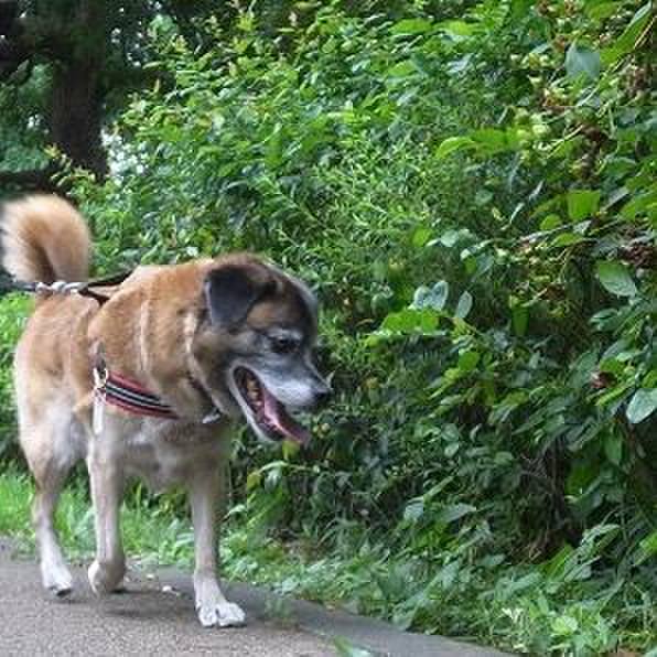 3e44c1ef aa71 48f0 97ff 0b2a56f9cf05