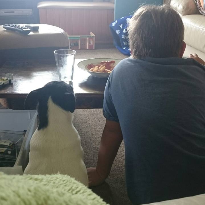 3e44ce41 0b26 4d91 b00b 37af6bccde35