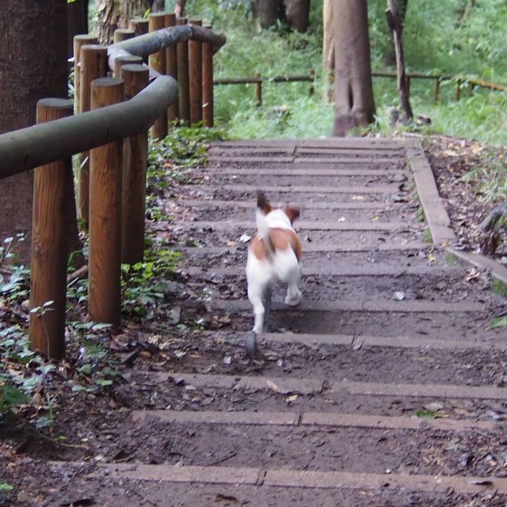 3e456c71 2fd7 4ad3 a6c9 13d8c31d60f6