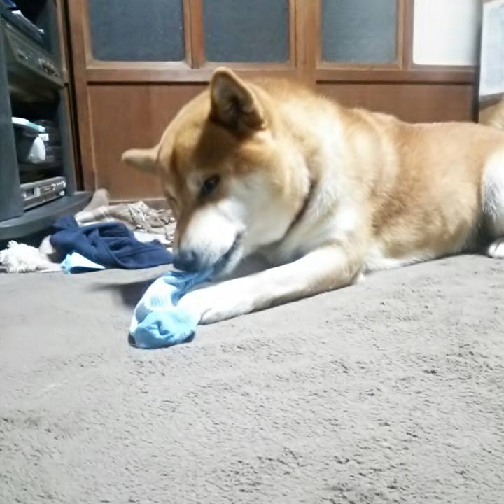 3e45710a a013 4b23 8c16 dd43f89806ed