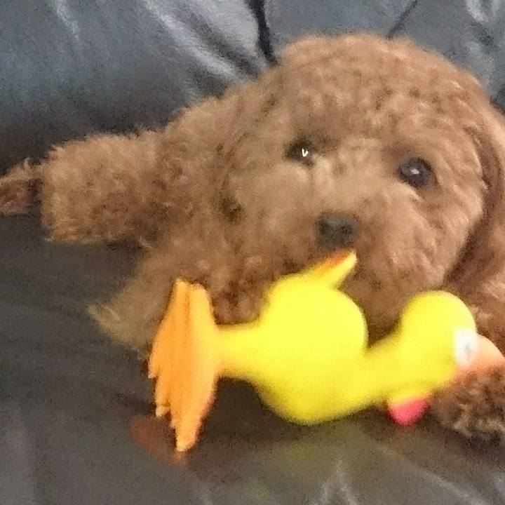 3e45902a 6ab3 4d19 b653 82181a5d11b0