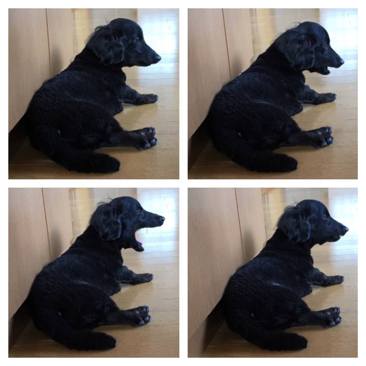 3e45c3e1 ffb7 41ba bfa9 c8bd5e5c508f