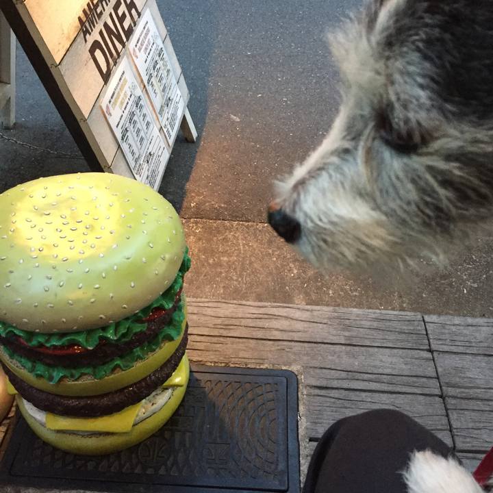 3e45d093 57f2 4018 98ad eafce08aae48