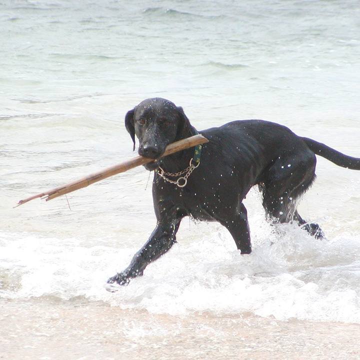 3e461945 25a7 4014 9624 c6c7723fc4f3