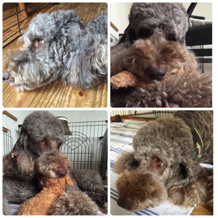 3e4650a3 c761 470c 952d 326662cfb09b