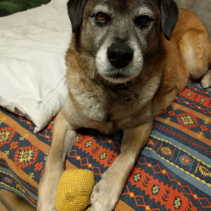 3e465ba3 a80c 4883 90a3 a951fae9033e