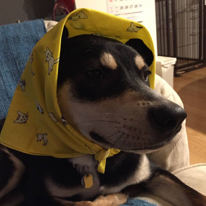 3e46be10 d11e 47ec 8797 4dfca3ac4fa0