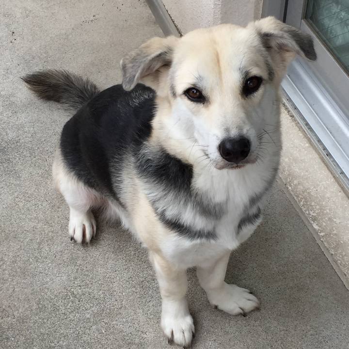 3e46d74a e2d3 4a86 a824 4091be8f72c6