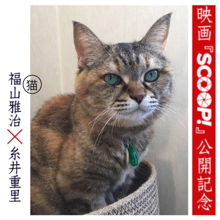 3e46dd64 a9e5 4b6f 810a 8799d19a166f