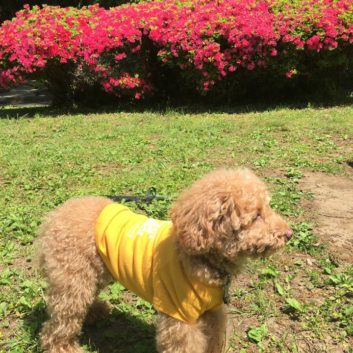 3e4779c3 d7ff 4348 8cdd 77a745fbb98f