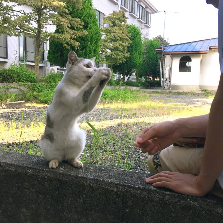 3e478f5d fa68 41ef b19f ff8612ac3ab2