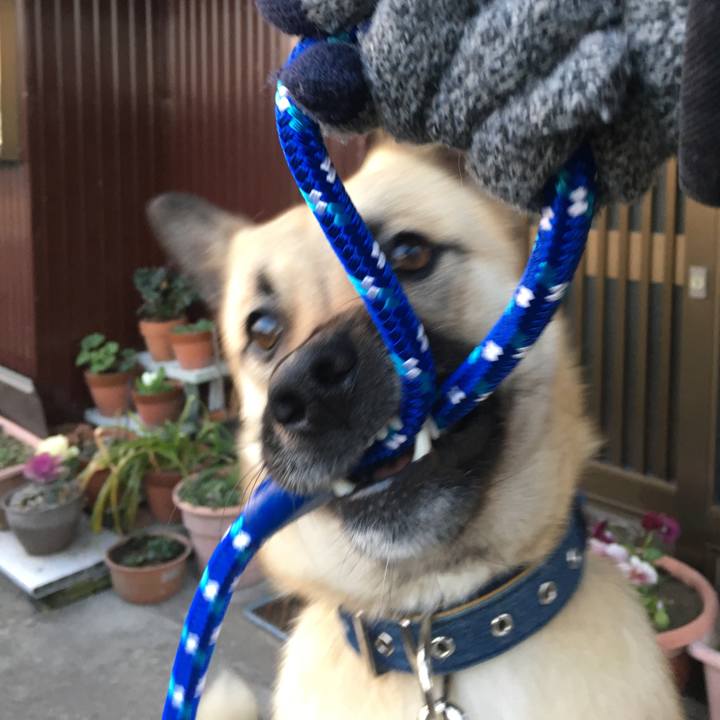 3e47ab8f 21da 452e aef0 df0fe6947bbe