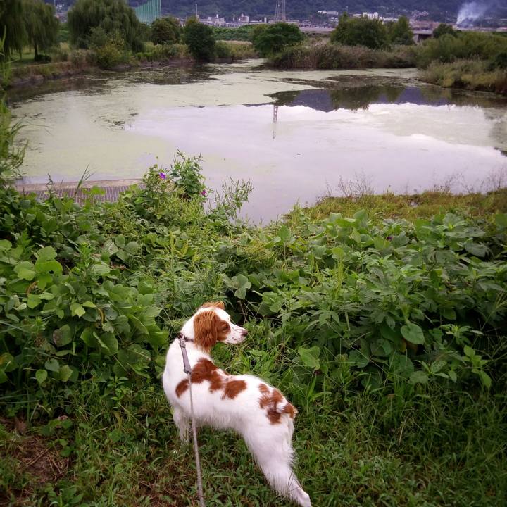 3e48b557 ab28 4313 805c d8fd76721851