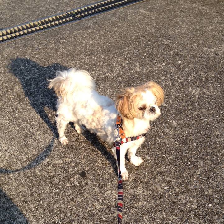 3e48e999 e303 4c01 97ca bf4ef12c3f87