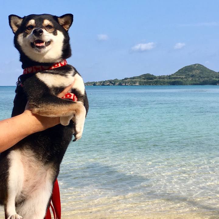 3e4920ef 3d57 4c70 bfaf 595ce8537bde