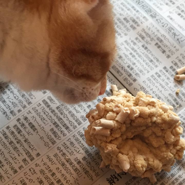 3e49b4b4 03af 473f 8c30 445c18ea4ea9