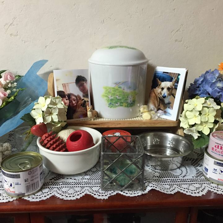 3e49b4b8 0761 4d2e 81a1 44c81ed98a90