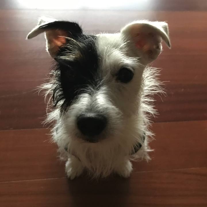 3e4a0554 a346 44d7 b2a2 5cf17bd4446b