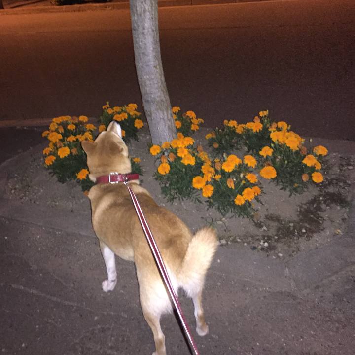 3e4a1b48 7c3a 4c71 a3a8 bcd8a01d1ba9