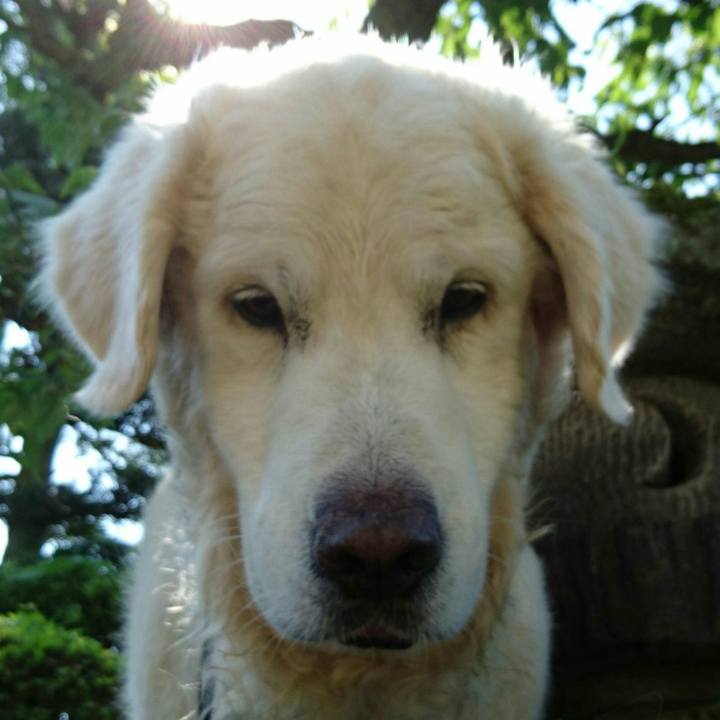 3e4a2596 9c4d 43f6 9c15 361d132e50e6