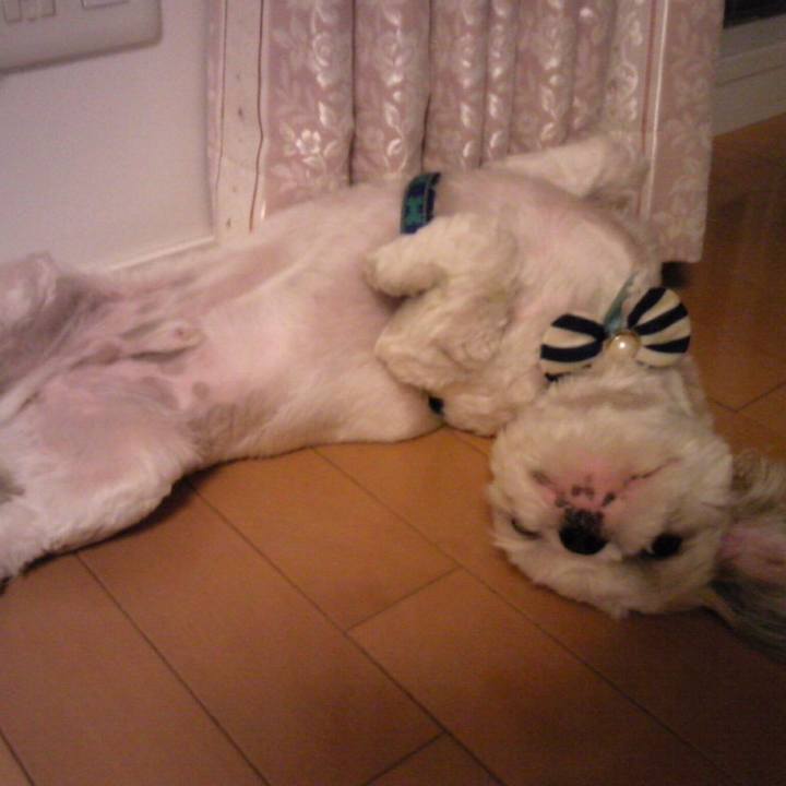 3e4a2ff1 6bdf 4c85 adca 4dd54f757d76