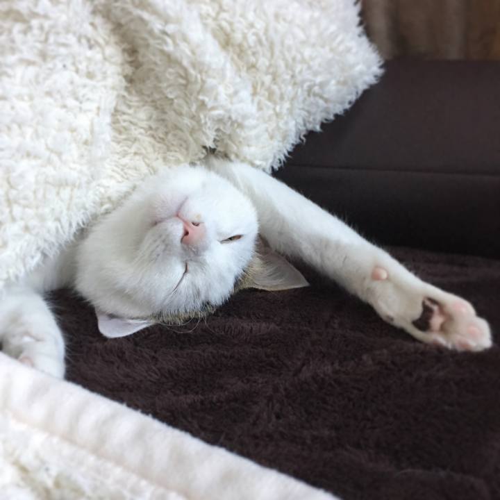 3e4a84de 5426 45a7 b700 0cb08d151ede