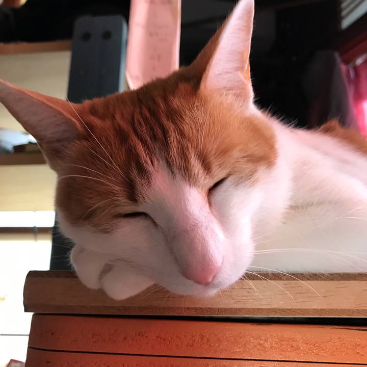 3e4b4232 6fa8 4e30 9081 22fc2392cc71