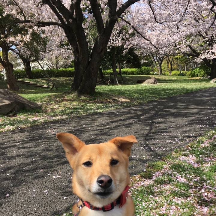 3e4b4a42 b296 42b5 a59a 5ffcf001519e